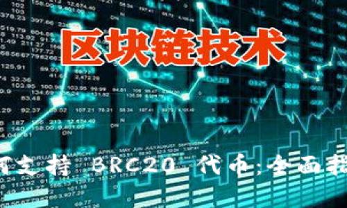  TPWallet 如何支持 BRC20 代币：全面指南与应用实例 