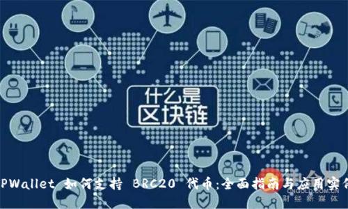  TPWallet 如何支持 BRC20 代币：全面指南与应用实例 