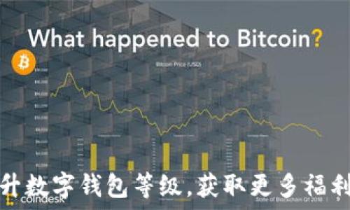 如何提升数字钱包等级,获取更多福利与特权