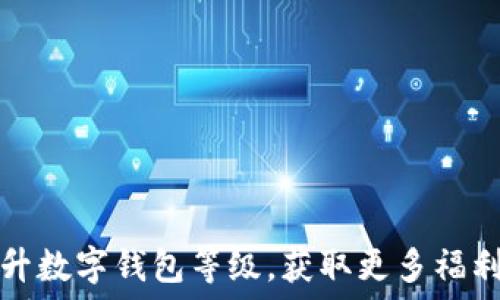 如何提升数字钱包等级,获取更多福利与特权