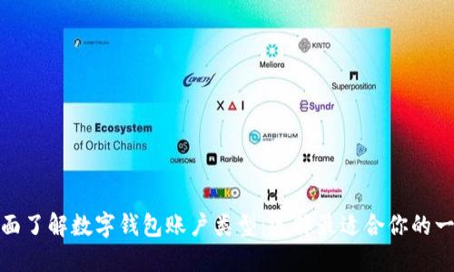 全面了解数字钱包账户类型:选择最适合你的一款