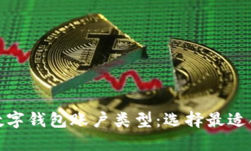 全面了解数字钱包账户类型:选择最适合你的一款
