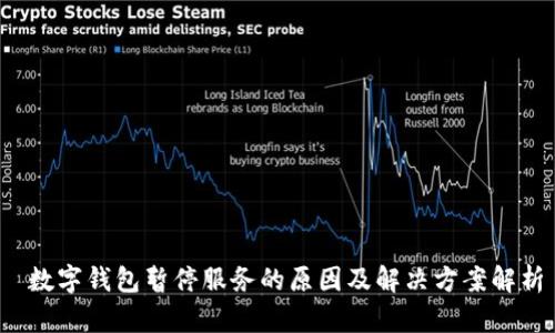 数字钱包暂停服务的原因及解决方案解析