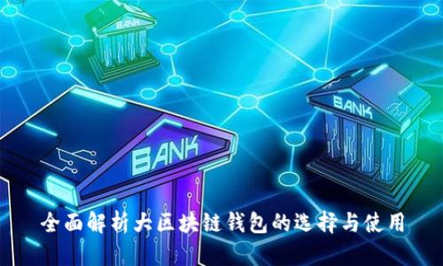 全面解析大区块链钱包的选择与使用
