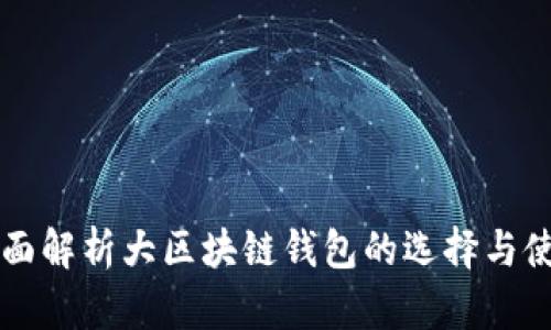 全面解析大区块链钱包的选择与使用