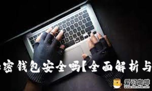 中文版加密钱包安全吗？全面解析与用户指南