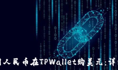 如何用人民币在TPWallet购美元:详细指南