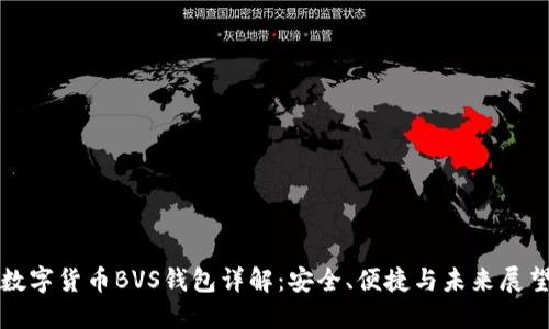 数字货币BVS钱包详解:安全、便捷与未来展望