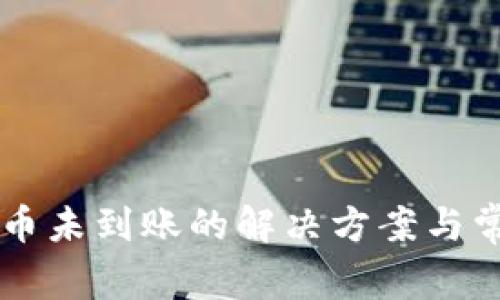 TPWallet提币未到账的解决方案与常见问题解析