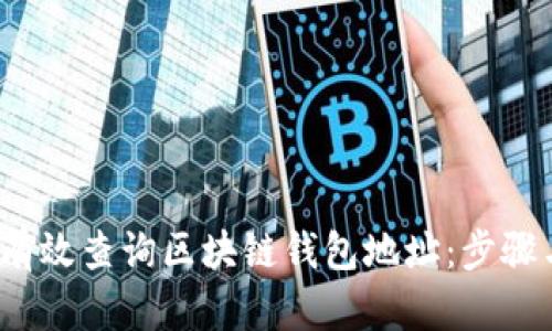  如何有效查询区块链钱包地址：步骤与技巧
