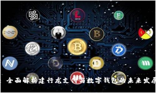 : 全面解析建行龙支付与数字钱包的未来发展