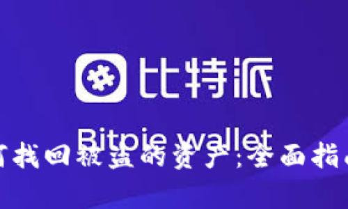 tpwallet如何找回被盗的资产：全面指南与应对策略