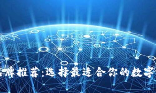 区块链钱包品牌推荐:选择最适合你的数字资产管理工具