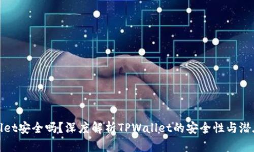 TPWallet安全吗?深度解析TPWallet的安全性与潜在风险