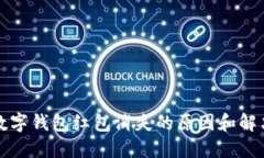福州数字钱包红包消失的原因和解决方案