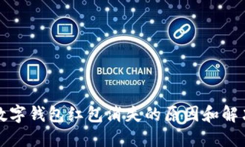 福州数字钱包红包消失的原因和解决方案