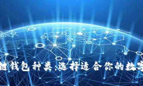 全面解析区块链钱包种类:选择适合你的数字资产安全方案