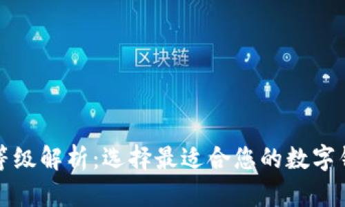 数字钱包等级解析:选择最适合您的数字钱包的指南