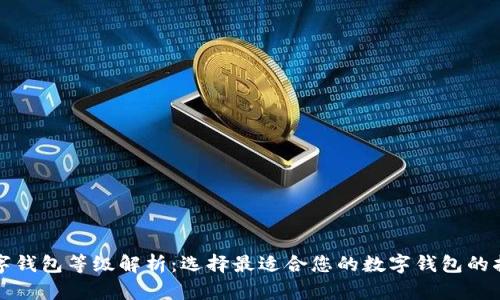 数字钱包等级解析:选择最适合您的数字钱包的指南