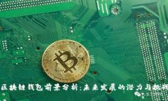 区块链钱包前景分析:未来发展的潜力与挑战