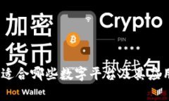 数字钱包:适合哪些数字平台及其应用前景分析
