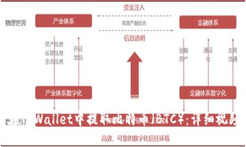 如何在TPWallet中提取比特币(BTC):详细视频教程