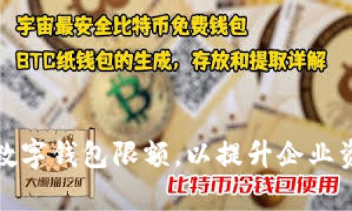 如何有效设置对公数字钱包限额,以提升企业资金安全和管理效率