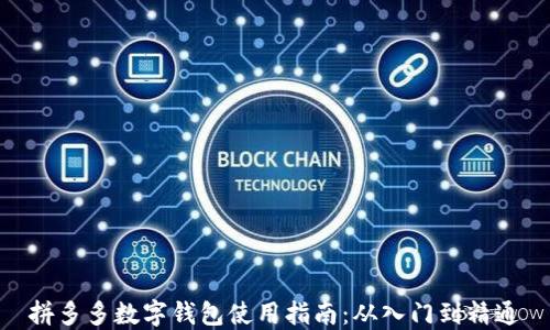 拼多多数字钱包使用指南:从入门到精通