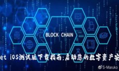 TPWallet iOS测试版下载指南:启动您的数字资产安