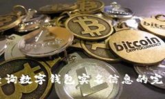 如何查询数字钱包实名信息的完整指南