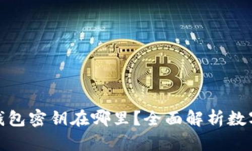数字货币钱包密钥在哪里?全面解析数字资产安全