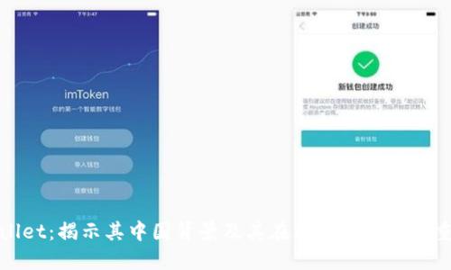 TPWallet:揭示其中国背景及其在区块链领域的重要性