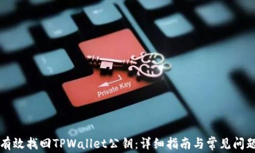 
如何有效找回TPWallet公钥：详细指南与常见问题解析