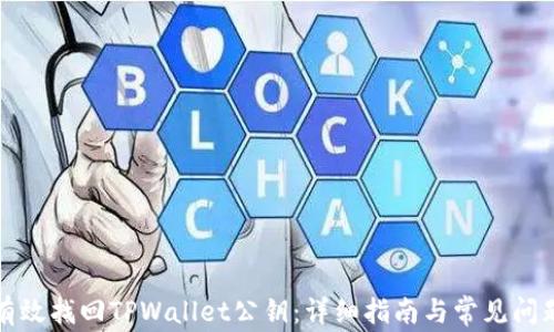 
如何有效找回TPWallet公钥：详细指南与常见问题解析