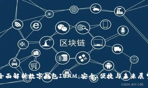 全面解析数字钱包IBAM:安全、便捷与未来展望