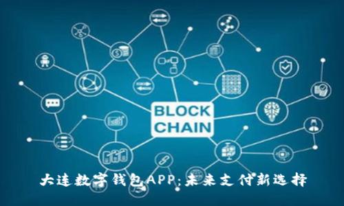大连数字钱包APP:未来支付新选择