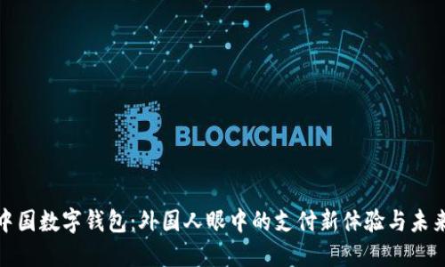 揭秘中国数字钱包:外国人眼中的支付新体验与未来趋势