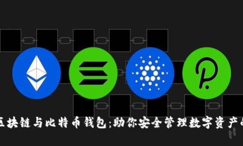全面解析区块链与比特币钱包：助你安全管理数字资产的终极指南