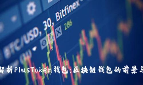 深入解析PlusToken钱包：区块链钱包的前景与风险