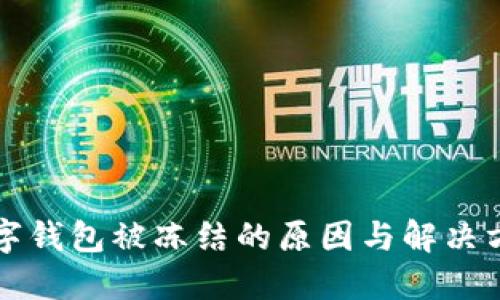 中行数字钱包被冻结的原因与解决方案详解
