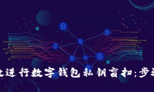 如何高效进行数字钱包私钥盲扫：步骤与技巧